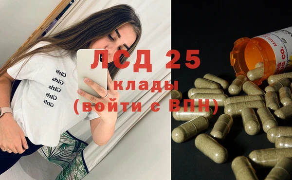твердый Майский