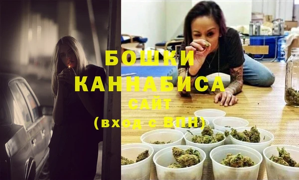 PSILOCYBIN Магас
