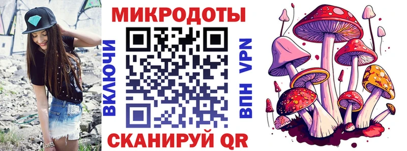 наркота  Щёлкино  Псилоцибиновые грибы Psilocybine cubensis 
